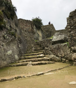 マチュピチュ遺跡内の様子